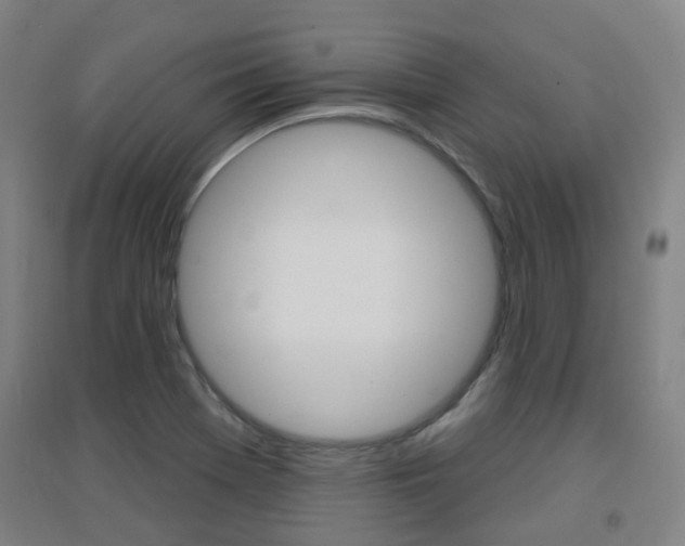 X0000094461369200711081049