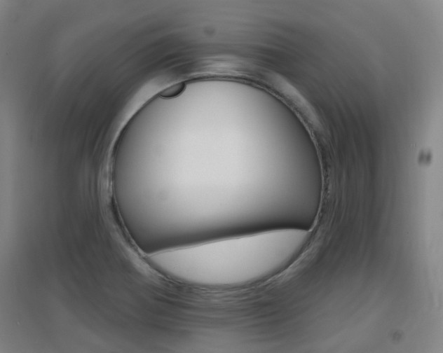 X0000094461370200711081049