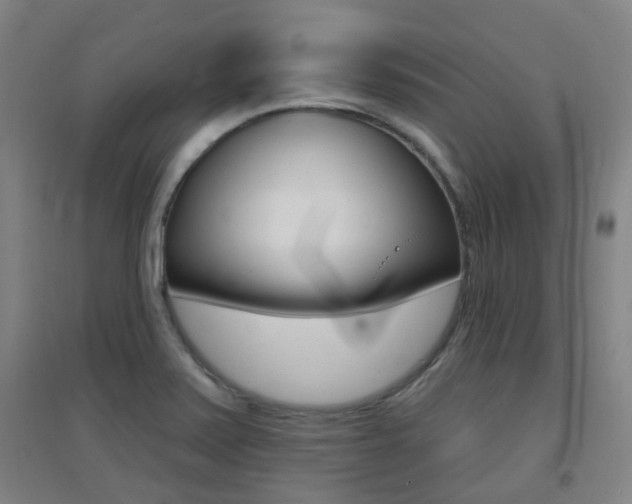 X0000094461371200711081049