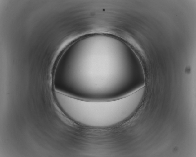 X0000094461372200711081049