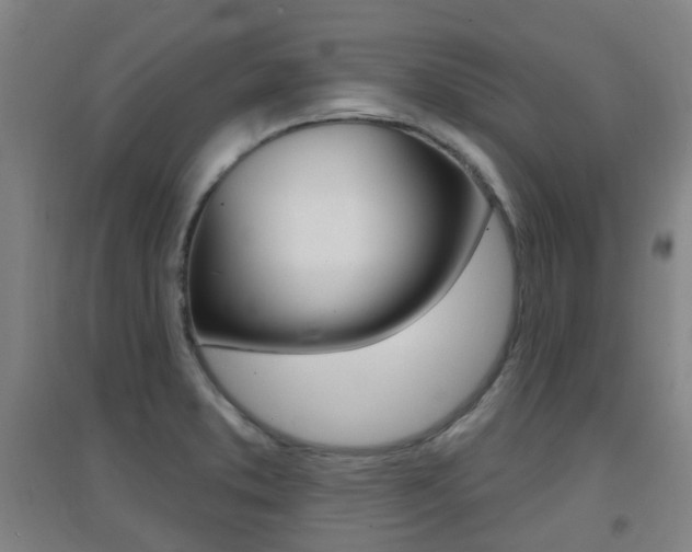 X0000094461373200711081049