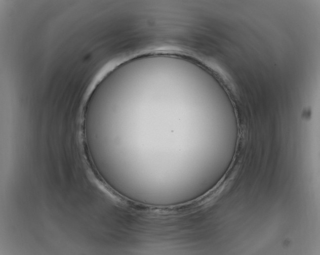 X0000094461374200711081049