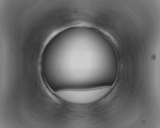 X0000094461375200711081049