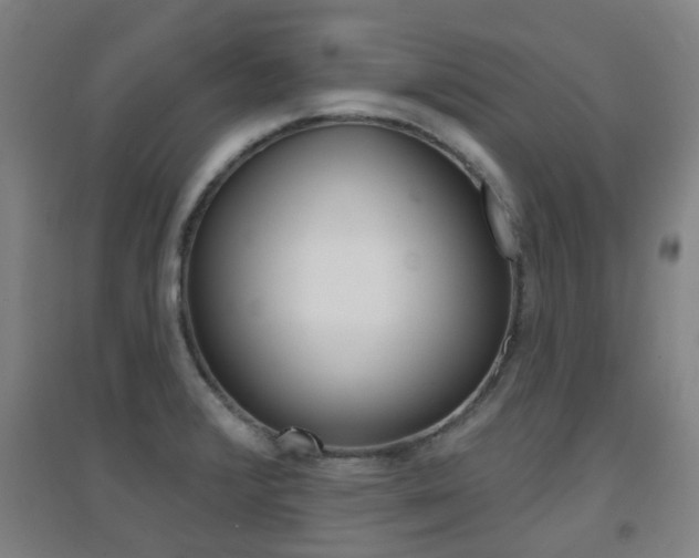 X0000094461376200711081049