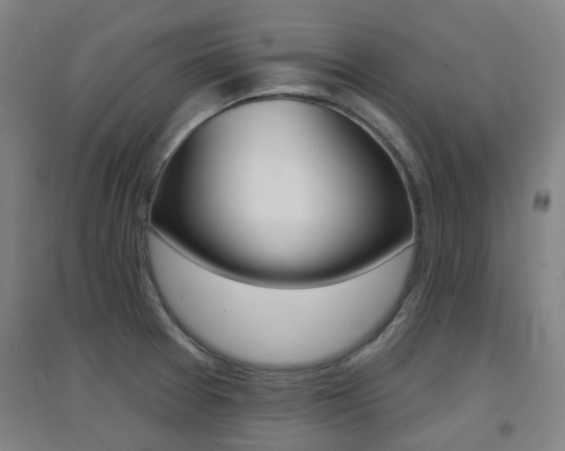 X0000094461377200711081049