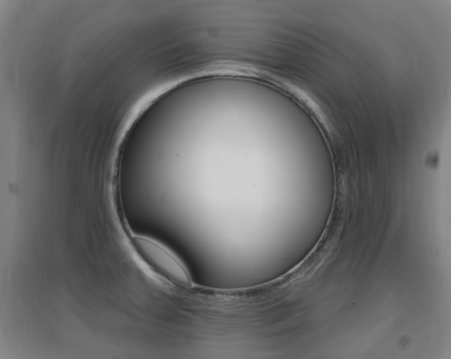 X0000094461379200711081049