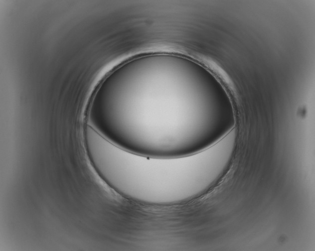 X0000094461380200711081049