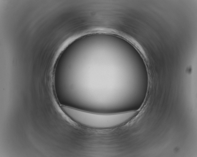 X0000094461381200711081049