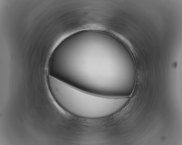 X0000094461383200711081049