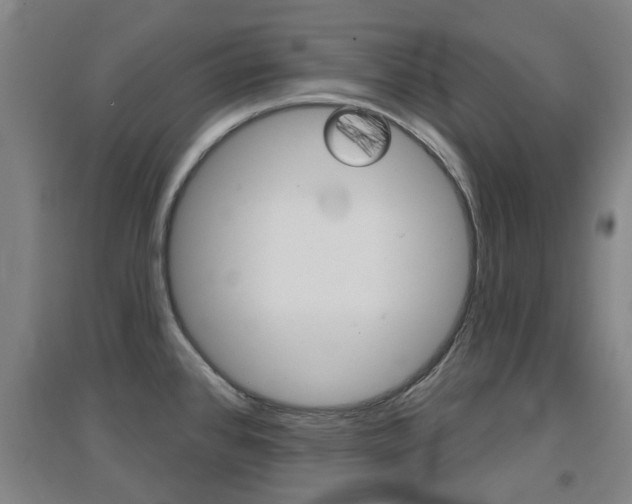 X0000094461384200711081049
