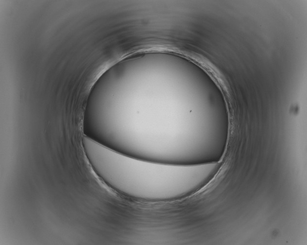X0000094461385200711081049