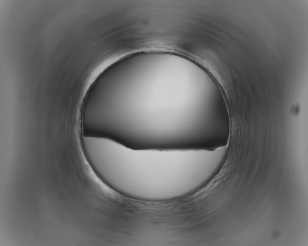 X0000094461387200711081049