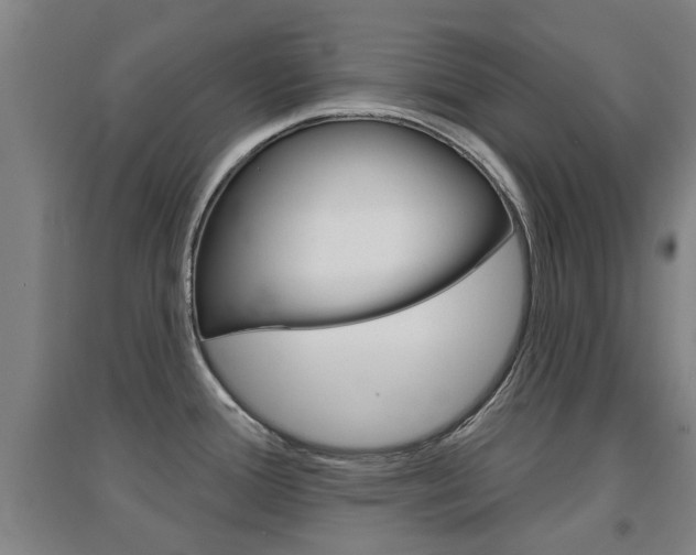 X0000094461388200711081049