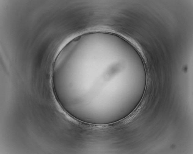 X0000094461390200711081049