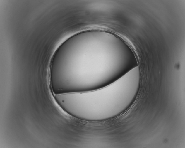 X0000094461391200711081049