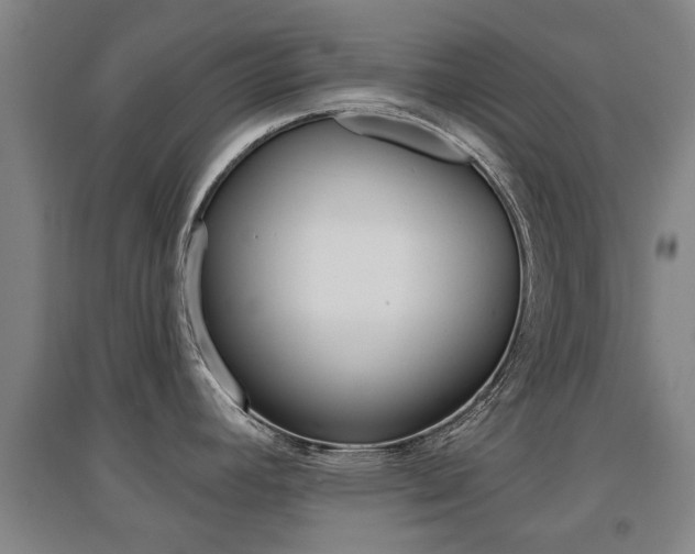 X0000094461392200711081049