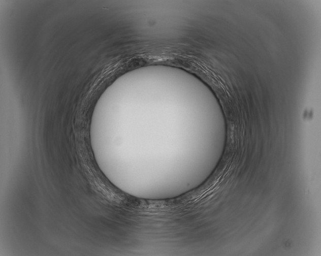 X0000094461393200711081048