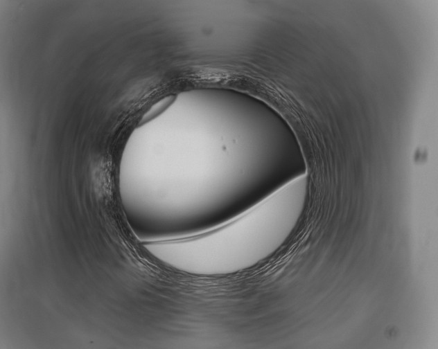 X0000094461394200711081048