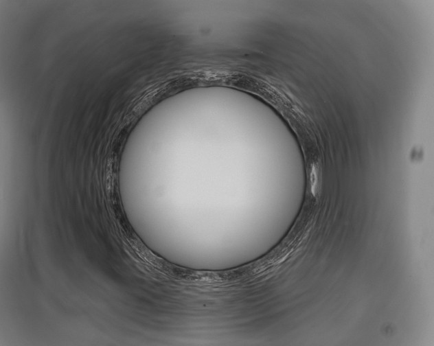 X0000094461395200711081048