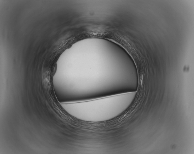 X0000094461396200711081048
