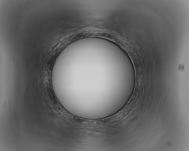 X0000094461397200711081048
