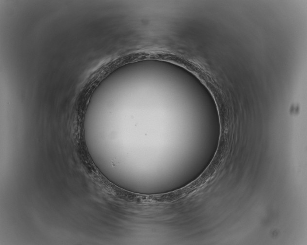 X0000094461398200711081048