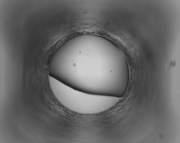 X0000094461399200711081048