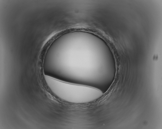 X0000094461400200711081048