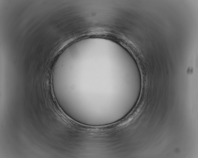 X0000094461401200711081048