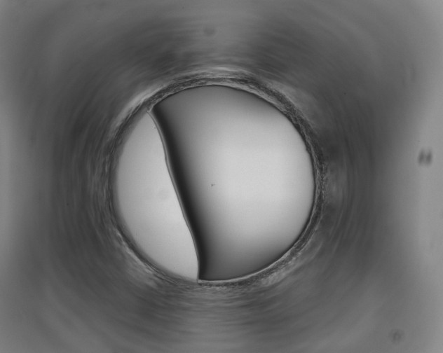 X0000094461402200711081048