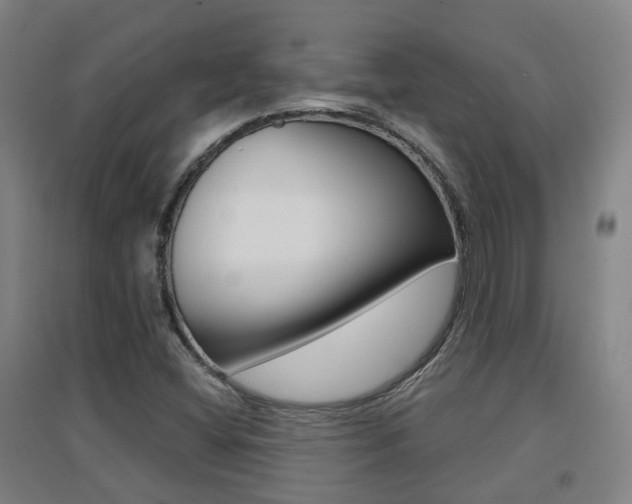 X0000094461404200711081048