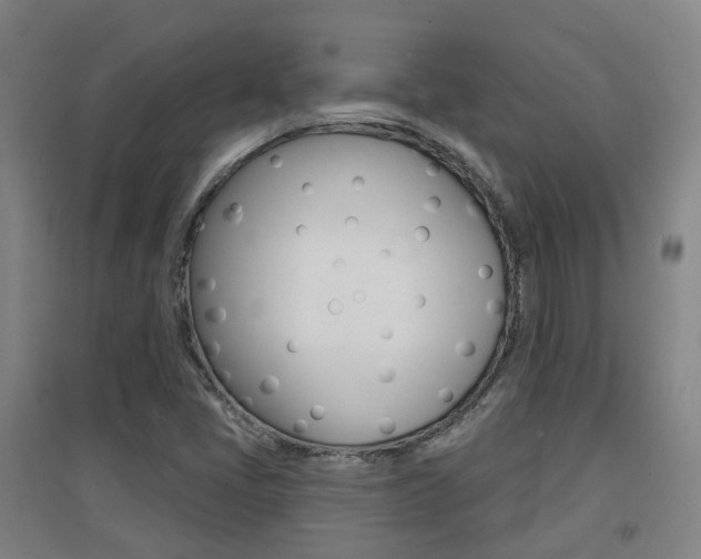 X0000094461405200711081048