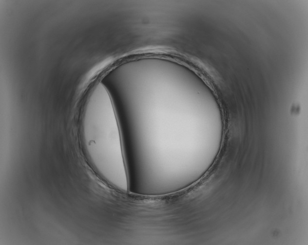 X0000094461406200711081048