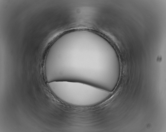 X0000094461407200711081048