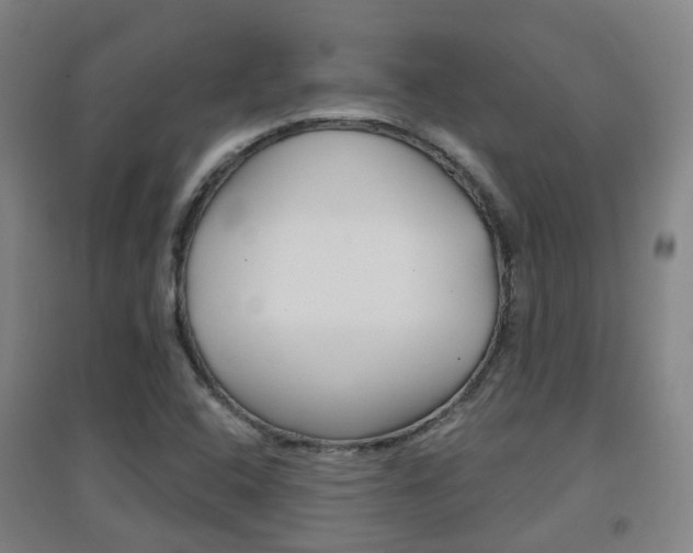X0000094461408200711081048