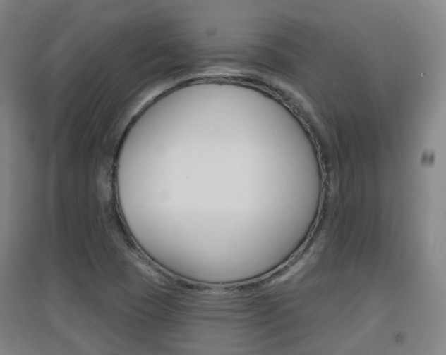 X0000094461409200711081048