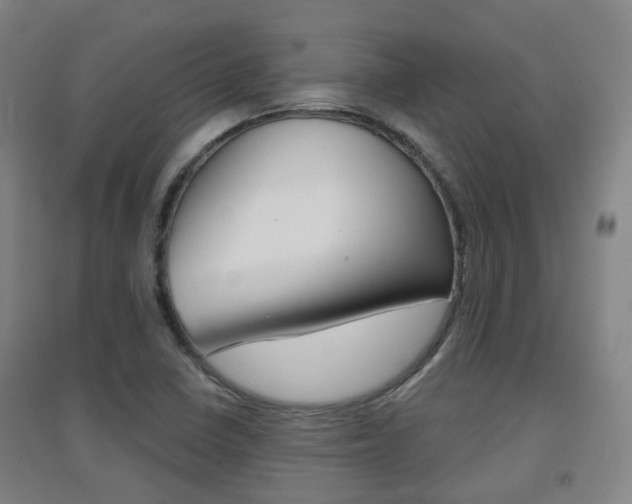X0000094461410200711081048