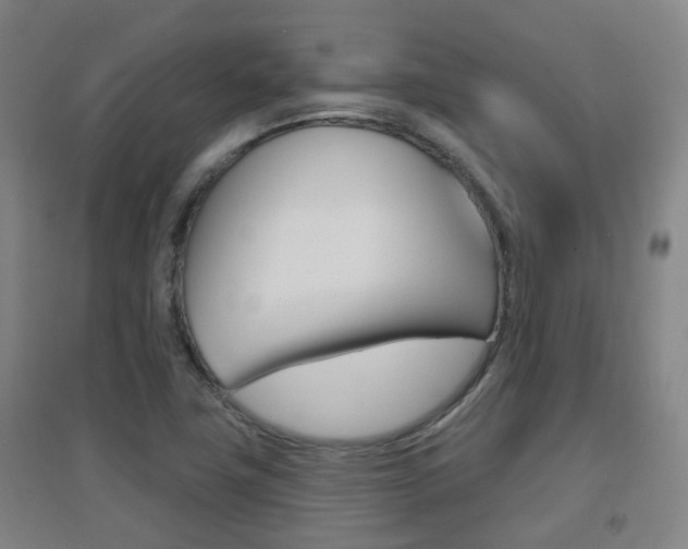 X0000094461411200711081048