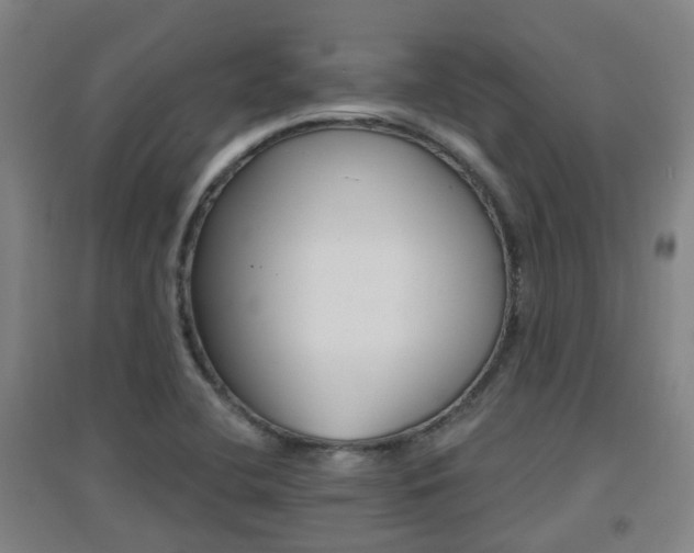 X0000094461412200711081048