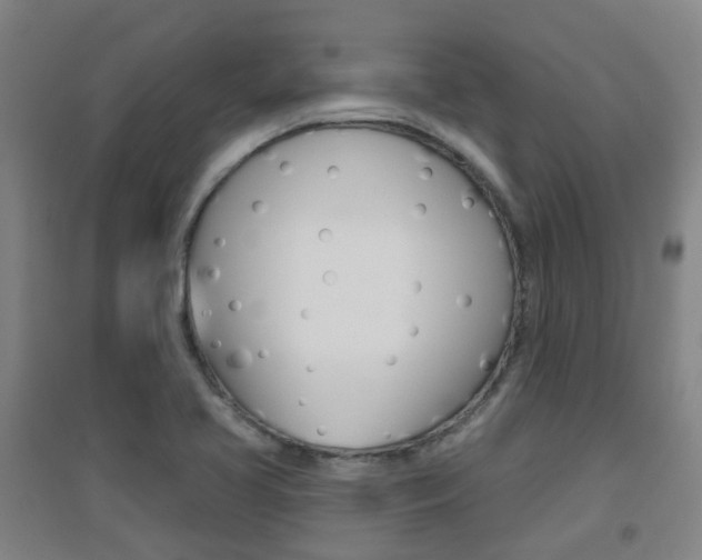 X0000094461413200711081048