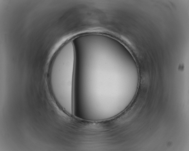 X0000094461414200711081048