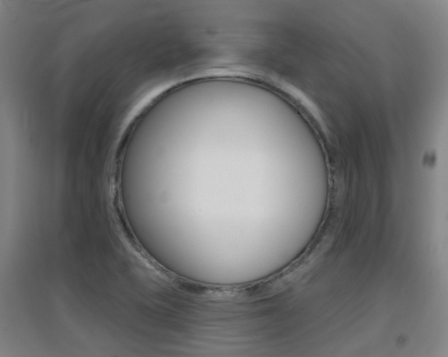 X0000094461415200711081048