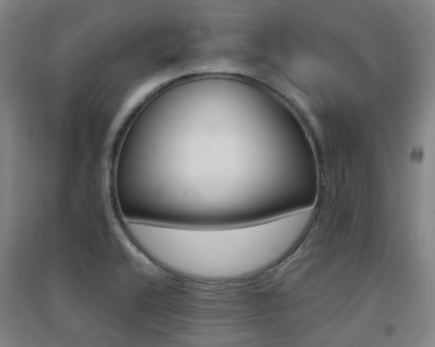 X0000094461416200711081048