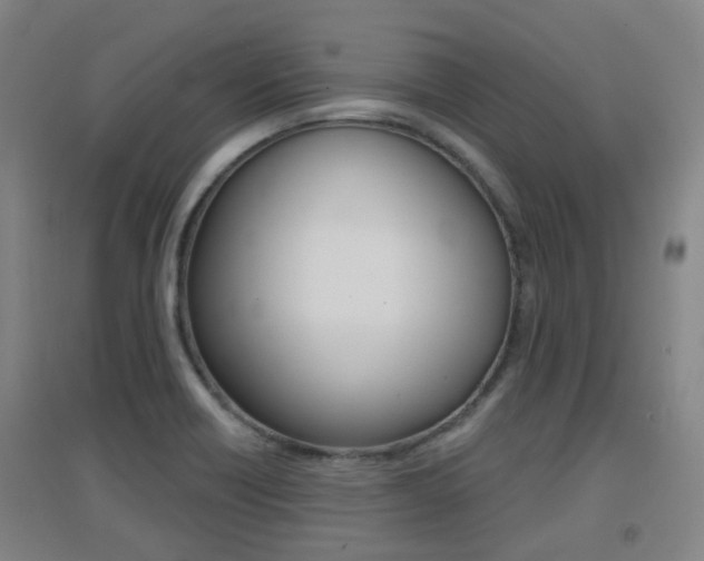 X0000094461418200711081048
