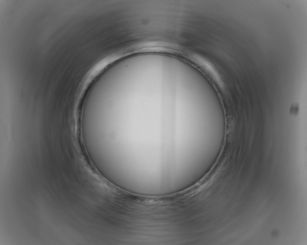 X0000094461419200711081048