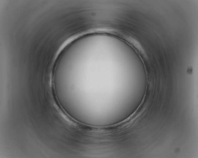 X0000094461420200711081048