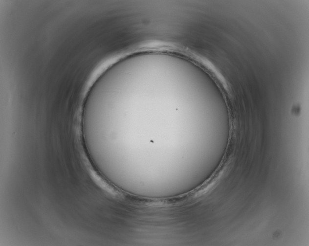 X0000094461421200711081048