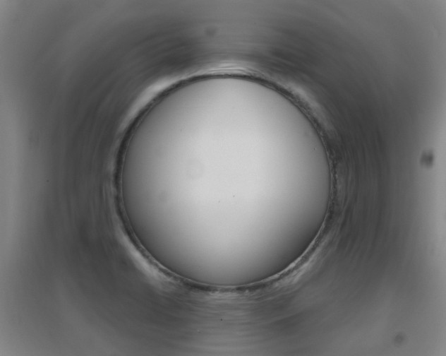 X0000094461422200711081048