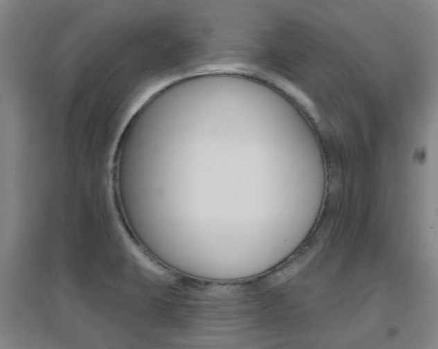 X0000094461423200711081048