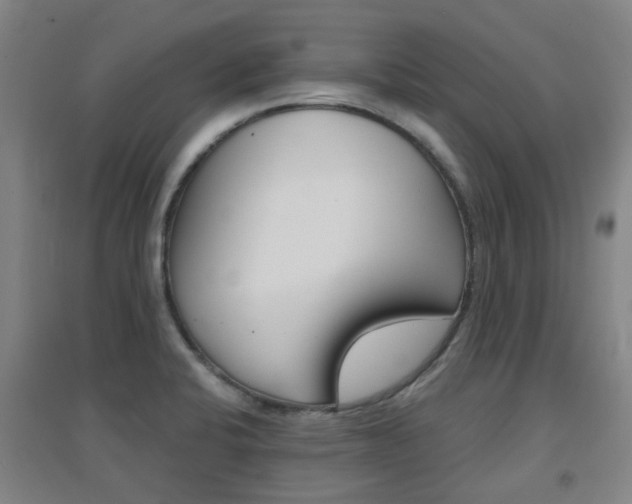 X0000094461424200711081048
